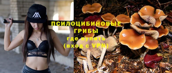 скорость Мегион