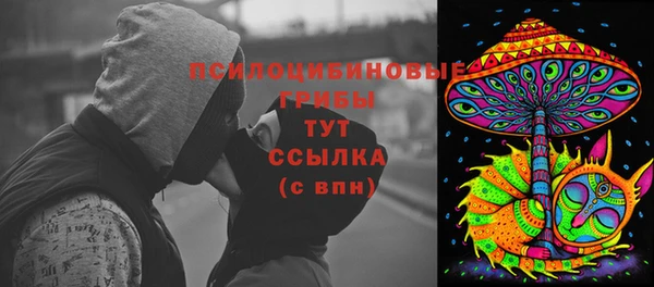 гидра Артём