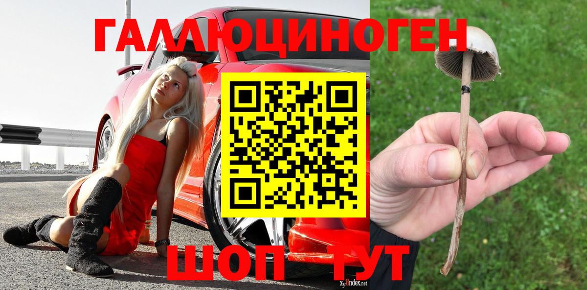 Псилоцибиновые грибы Magic Shrooms  Вход с VPN  Сорочинск  Галлюциногенные грибы MAGIC MUSHROOMS 