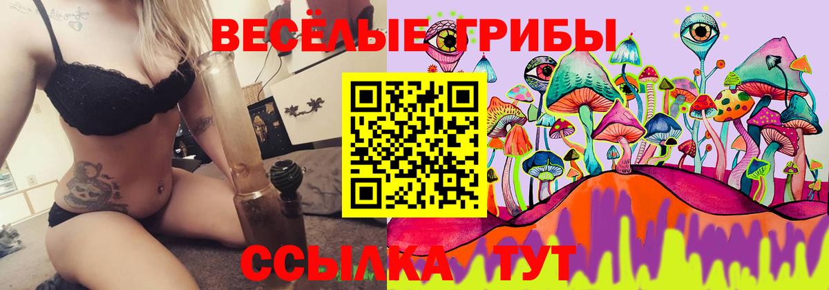 Псилоцибиновые грибы GOLDEN TEACHER Сорочинск