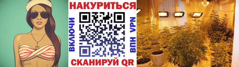 Каннабис план  где купить наркотик  Сорочинск 